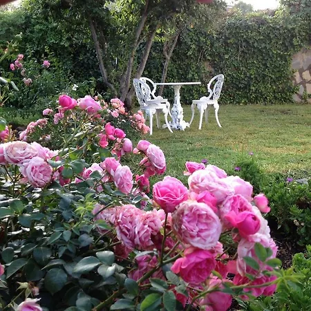 Floral Βίλα La Esperanza (Tenerife)